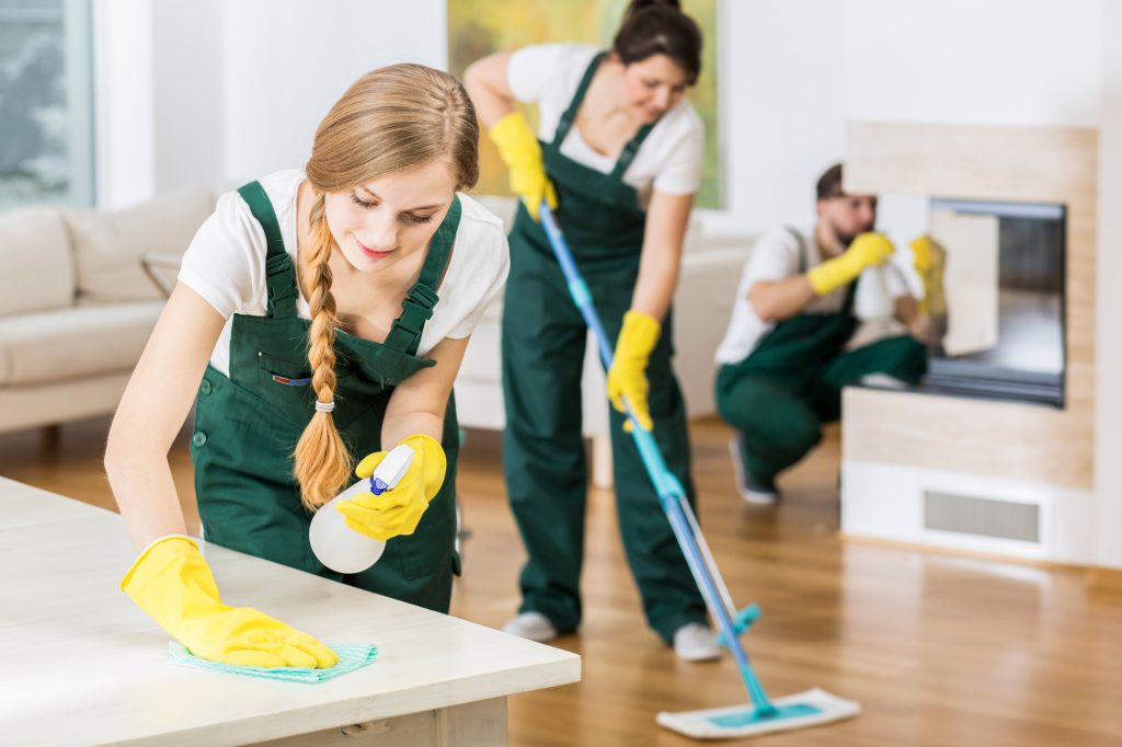 DUSTING DIVAS LLC IS A LICENSED, CERTIFIED, AND INSURED  COMPANY.